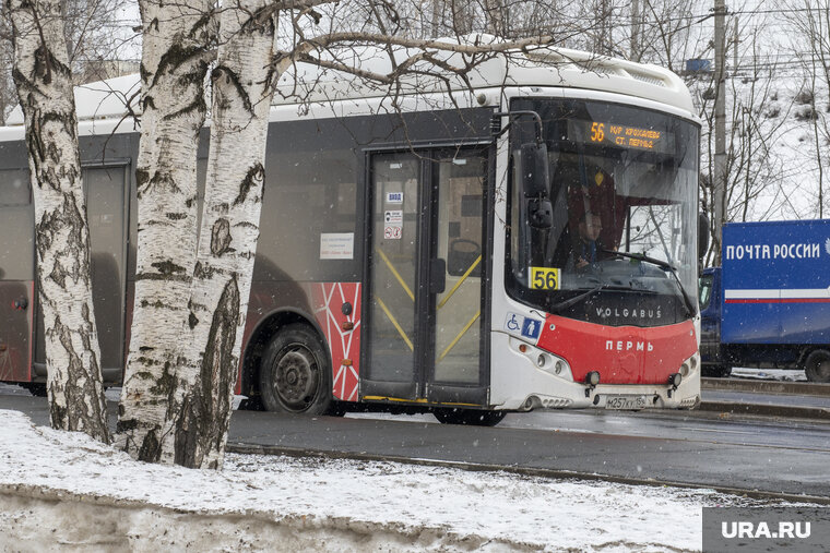    По словам полицейских, водитель автобуса не справился с управлением (архивное фото)