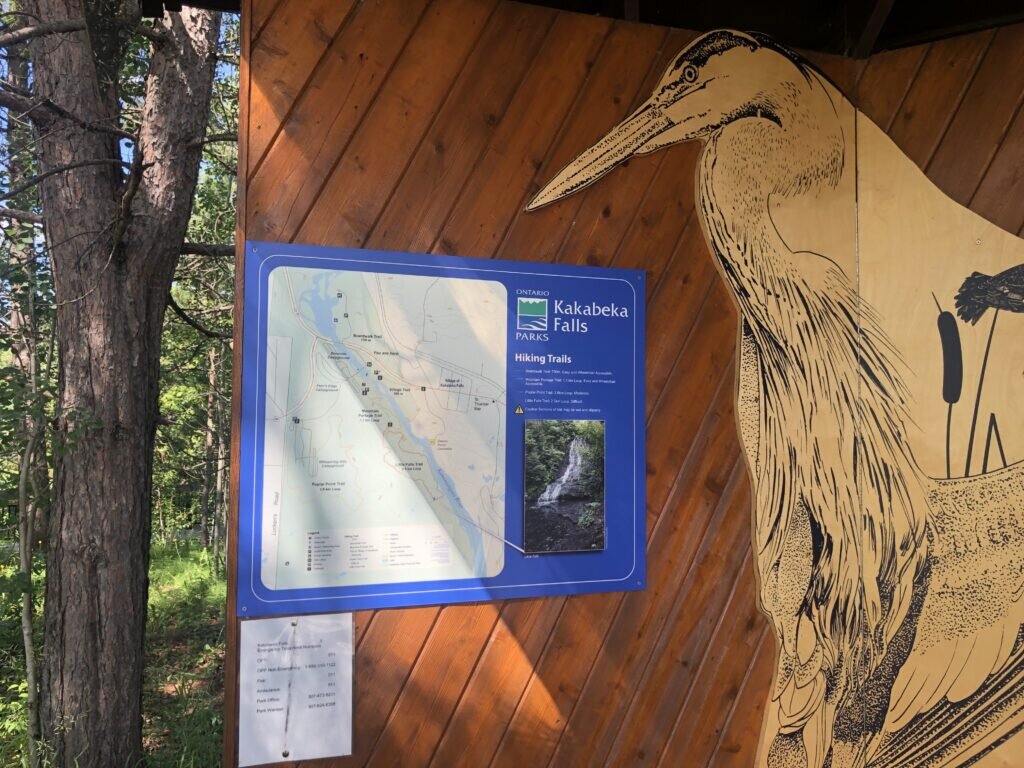 Птица, недоумённо глядящая на карту троп