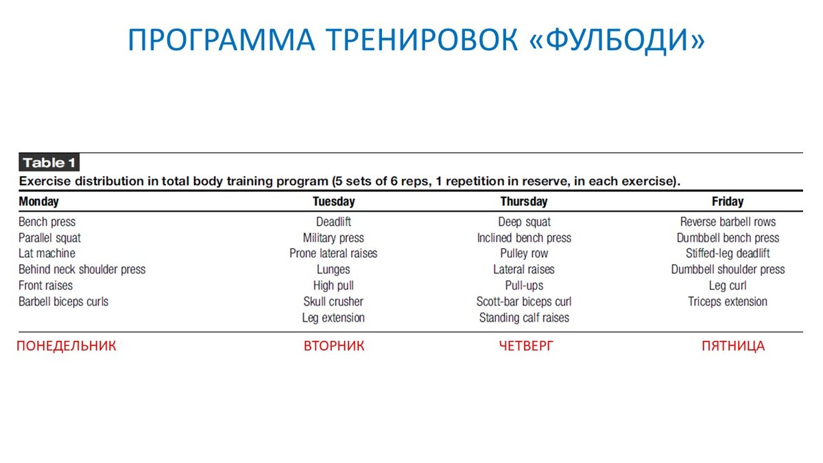 Сплит или Фулбоди? Снова про частоту силовых тренировок | Василий Волков |  Дзен