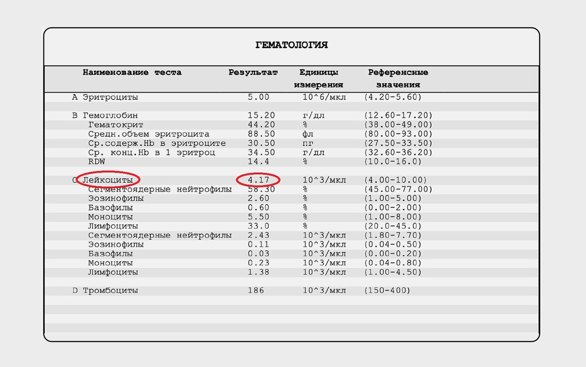 Общий анализ крови: как расшифровать?