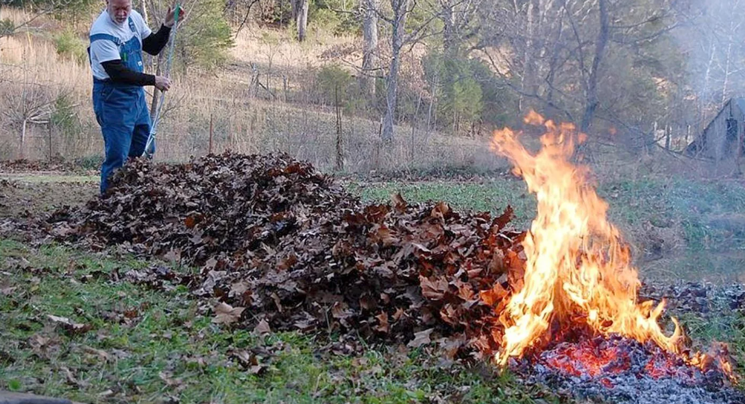 Огонь на даче. Сжигают траву на участках. Введен противопожарный режим. Костры в огороде. Костер на участке.
