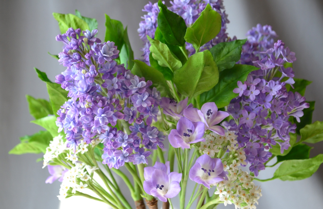 Источник изображения: id10515574 