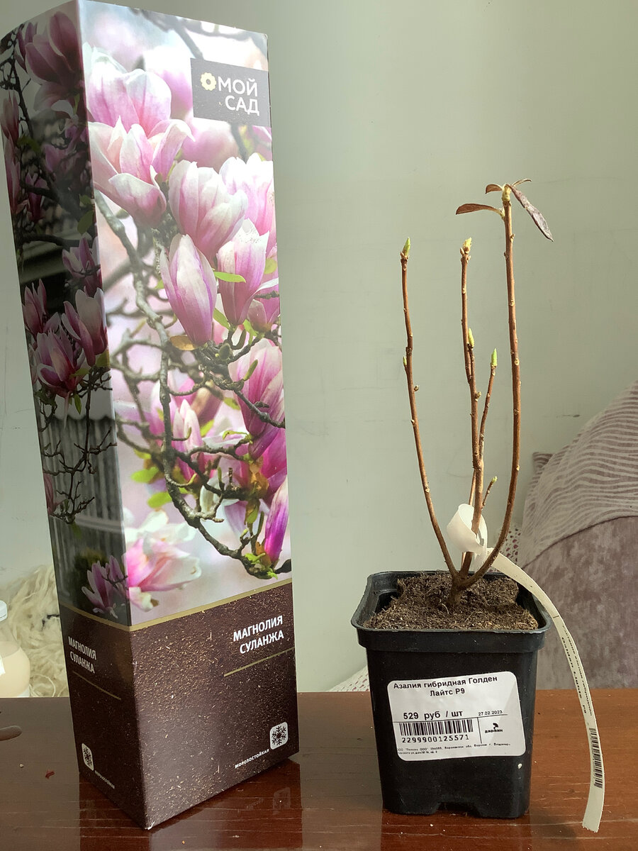 Случайные изыски