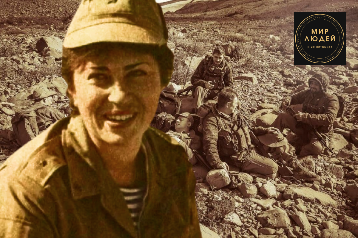 Коллаж произвольный. По мотивам данной истории