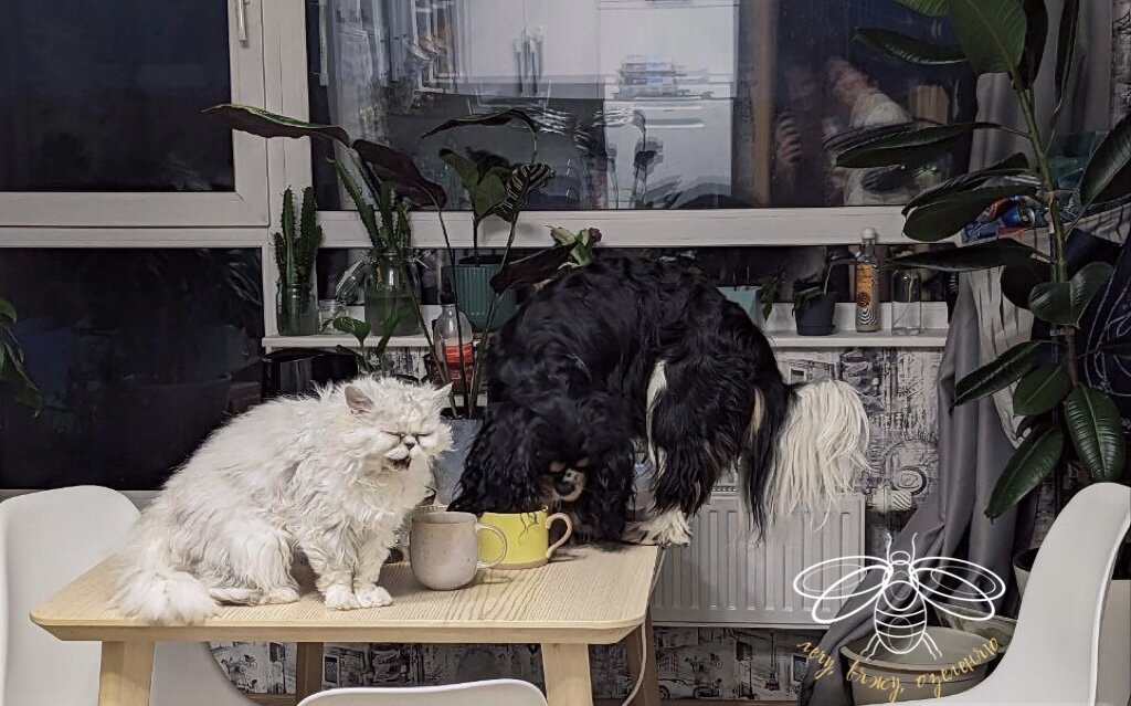 Да, мои шерстяные могут даже так, что уж говорить о пожирании зеленых