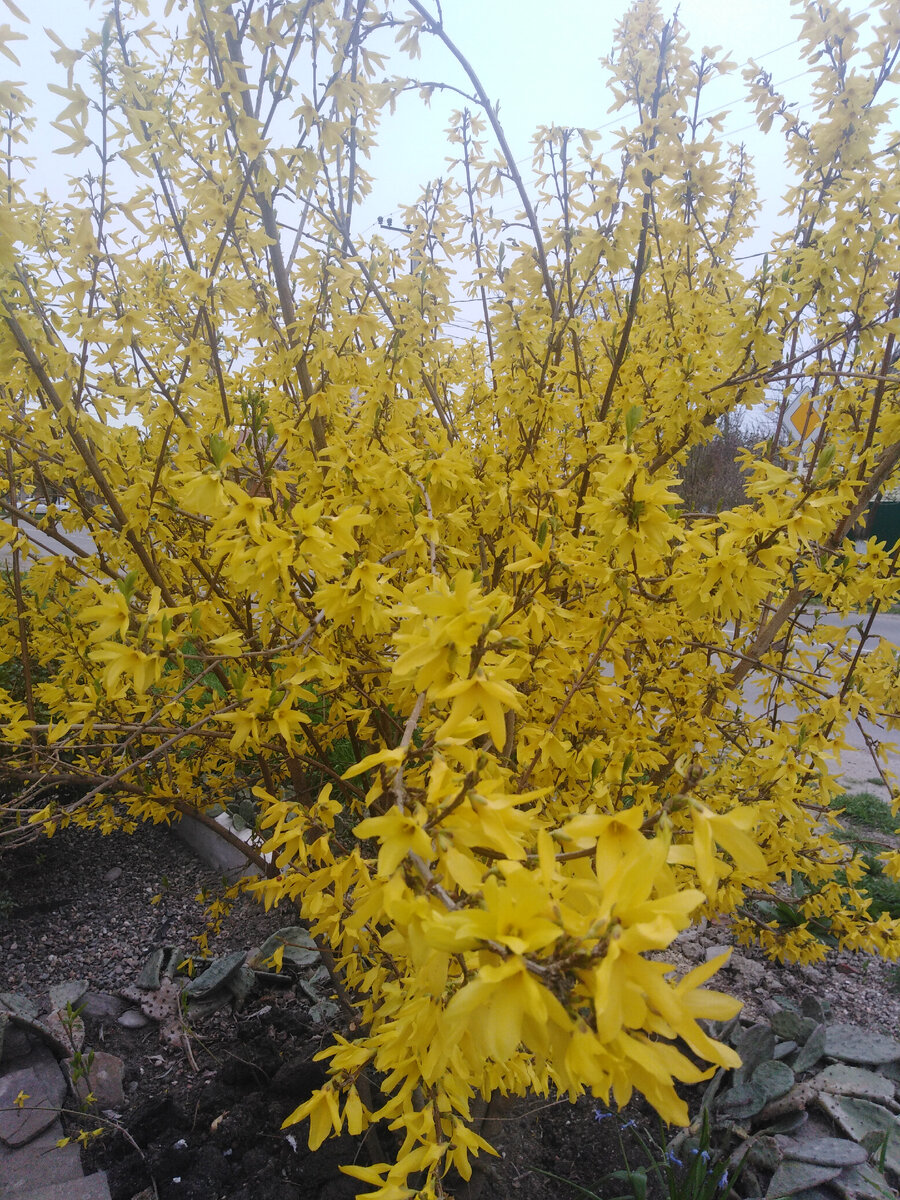 По дороге на работу