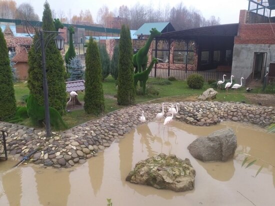     Фото: "МК в Калуге"