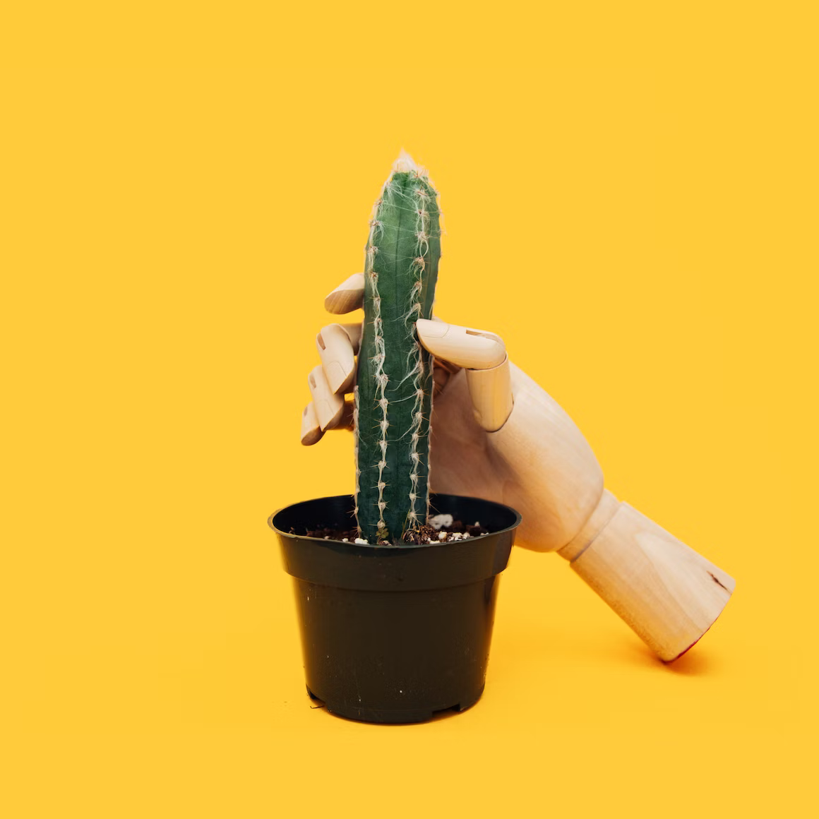 Photo by charlesdeluvio under the Unsplash License