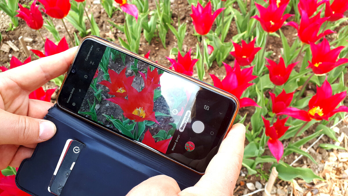 Все фотографируют цветы в самых разных ракурсах