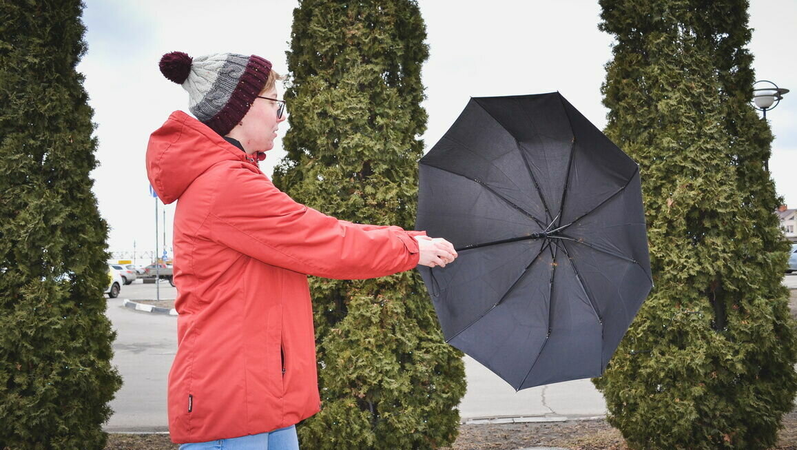     В Ростове-на-Дону ветрненая погода будет сохраняться в течение суток, сообщила представитель Гидрометцентра Елена Назарова.