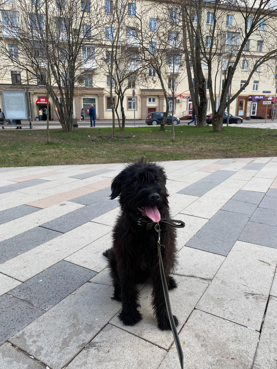 Хорошая девочка