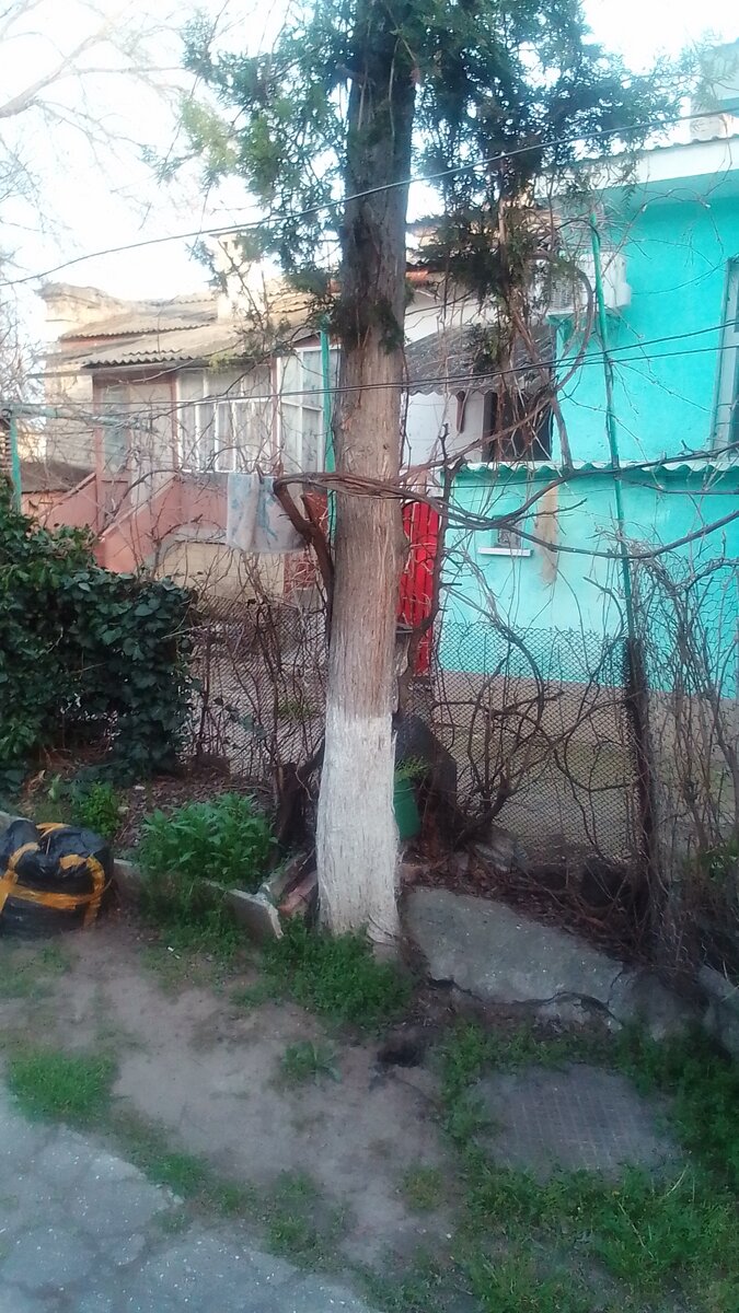 Фото это часть общей территории во дворе частного сектора.  У этих квартир свой отдельный  личный вход и они одноэтажные. Есть место для парковки автомобиля.