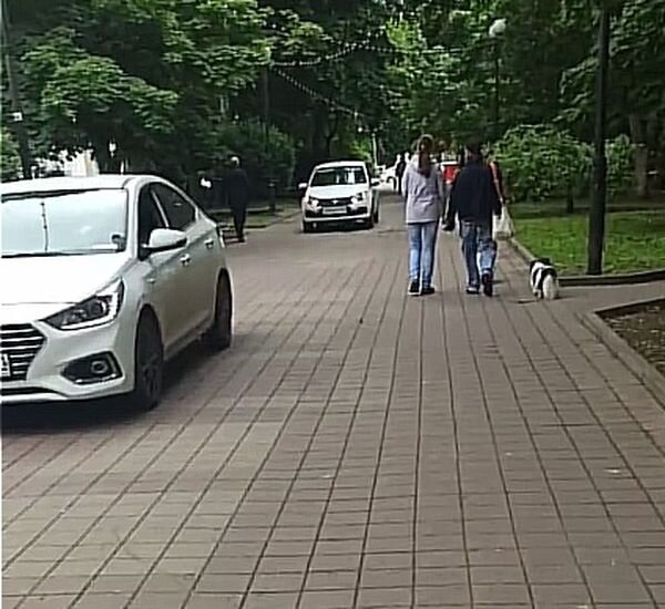 Источник фото: Фото из соцсетей