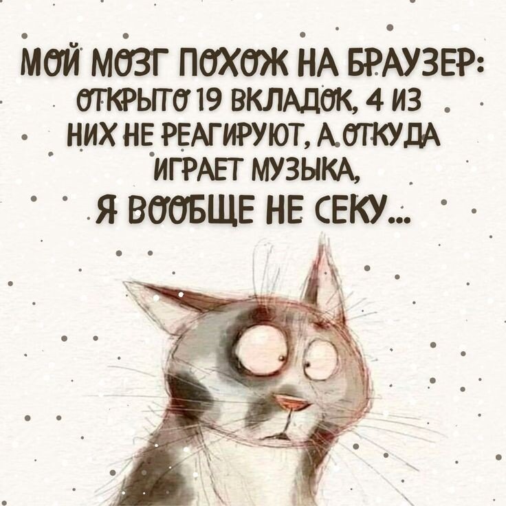 https://i.pinimg.com/originals/15/85/03/15850307afa0ec6c34ec21c72dbe49c8.jpg