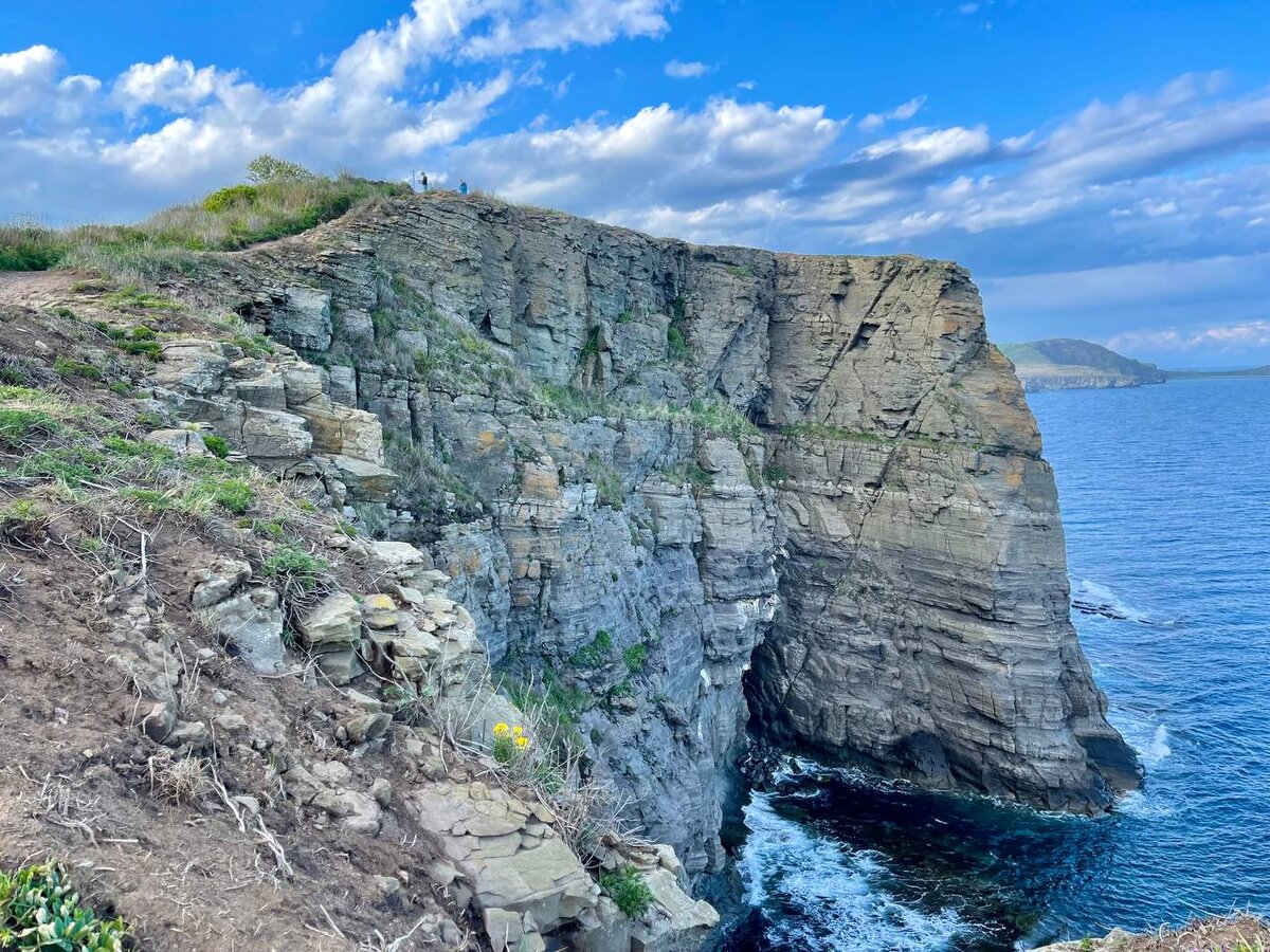 Движение приморье. Движение приморье. Движение приморье. Движение приморье. Движение приморье.