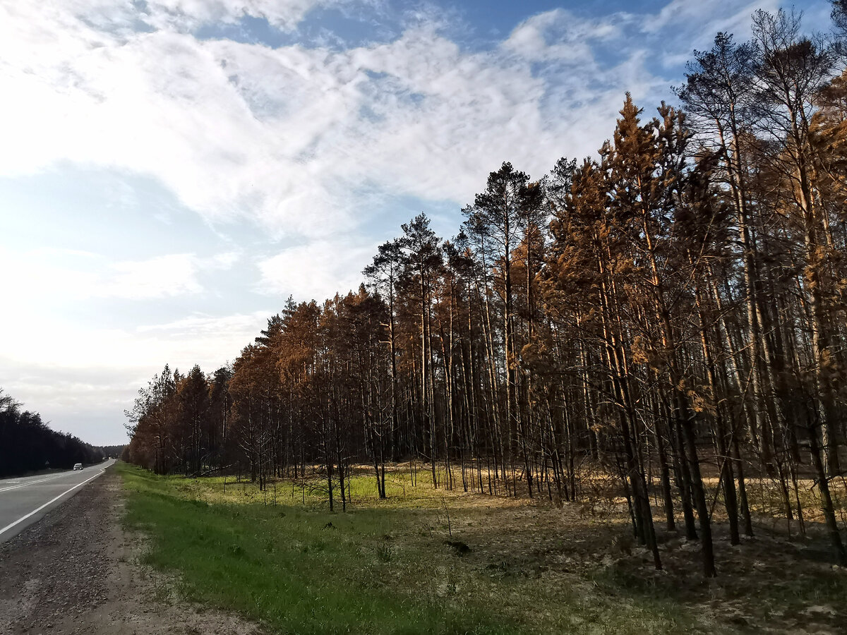 Фото автора канала 