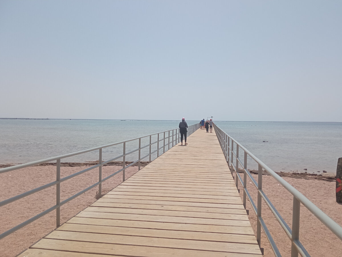 пляж египетского отеля. из личного архива