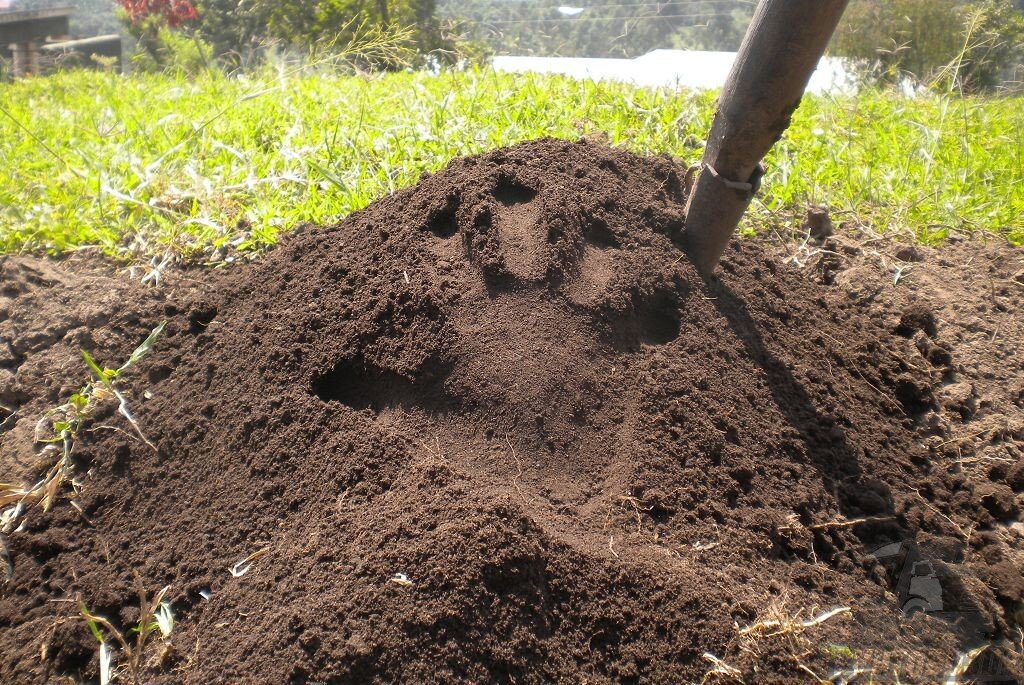 Почва – это сложная динамическая система. Она состоит из минеральных и органических веществ.-2