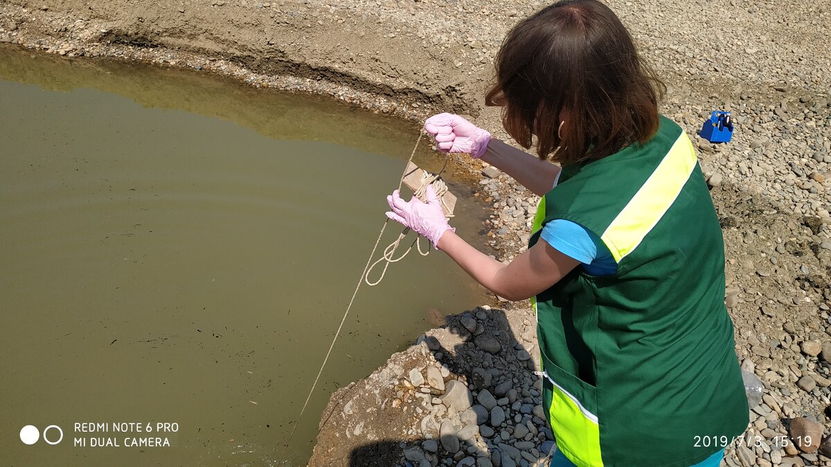     В Ростове-на-Дону в реке Темерник во время проверки обнаружили холероподобную микрофлору, сообщает региональное управление Роспотребнадзора.