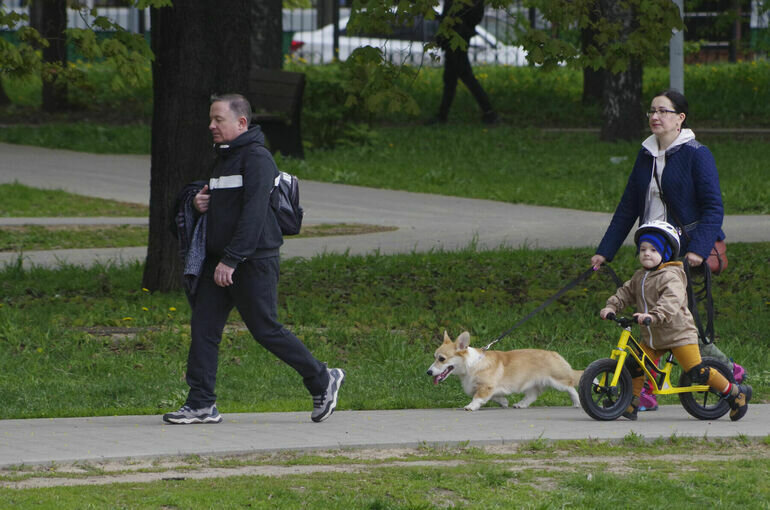   Игорь Самохвалов/ПГ