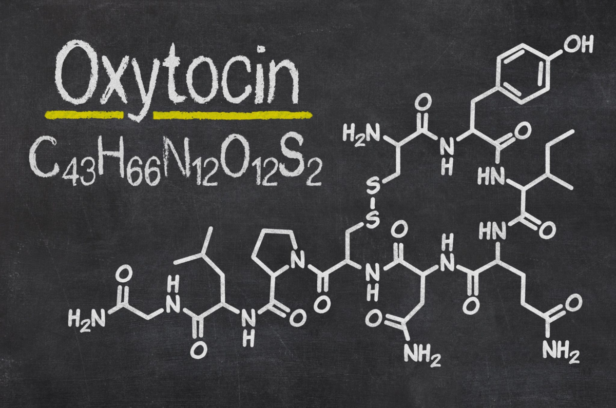 Что такое окситоцин и как он на нас влияет | РБК Стиль