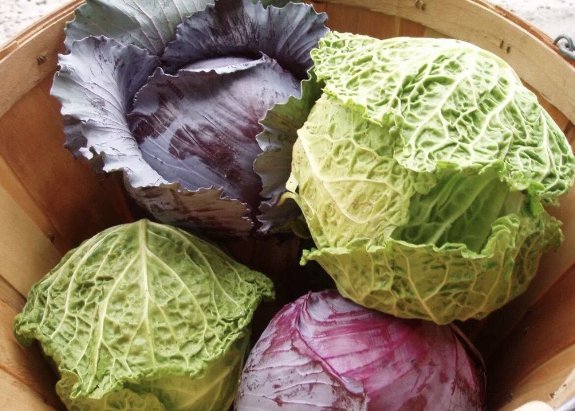 Фото из интернета в свободном доступе