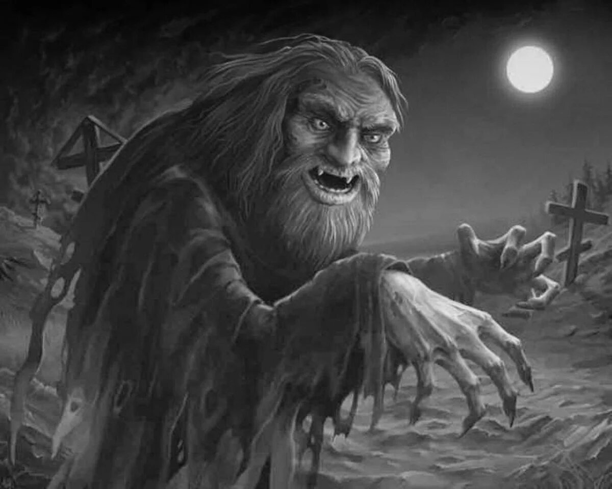 фото из открытых источников интернета