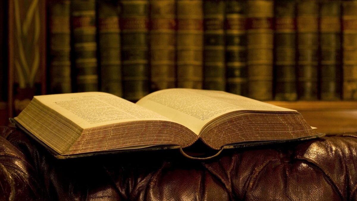 Фото взято из интернета!