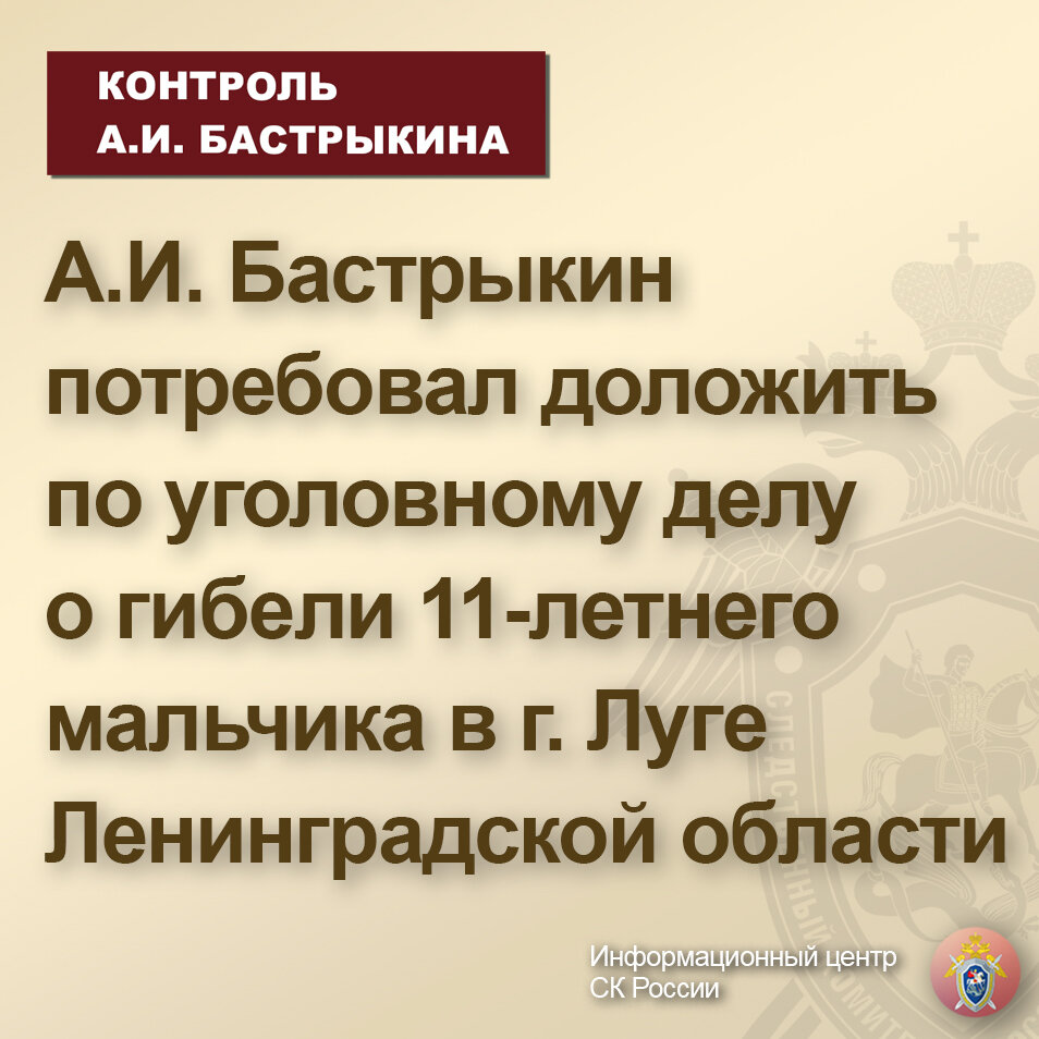 А.И. Бастрыкин потребовал доложить по уголовному делу о гибели 11-летнего  мальчика в г. Луге Ленинградской области | Информационный центр СК России |  Дзен