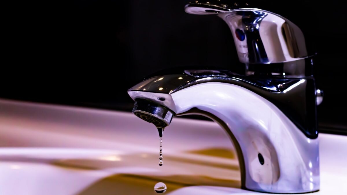    Фото: Unsplash Рашид Ахмежанов