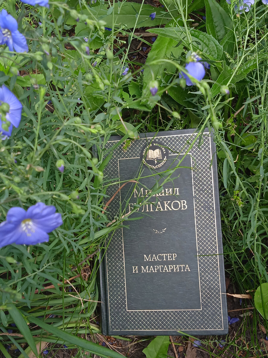 Вы судите по костюму? Никогда не делайте этого, драгоценнейший страж! Вы можете ошибиться, и притом весьма крупно.