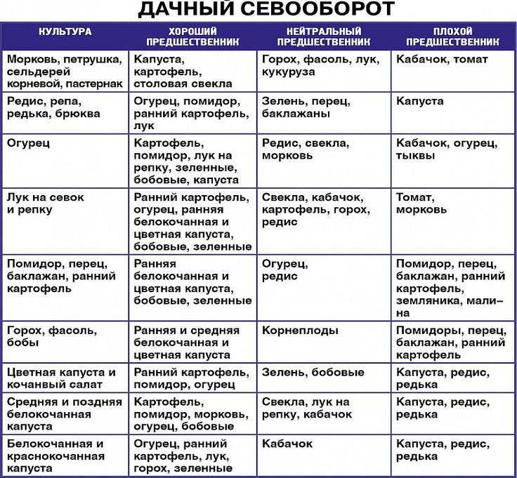 Культурооборот овощных культур