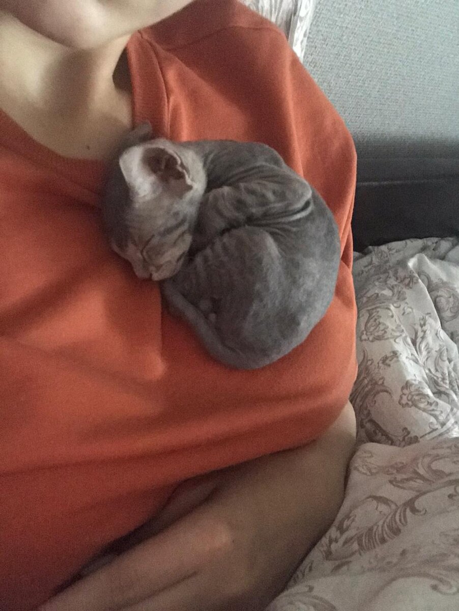 Маленький комочек 