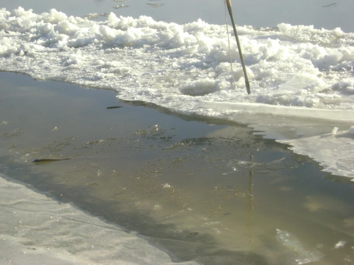 Оттаявший лед. Личное фото автора