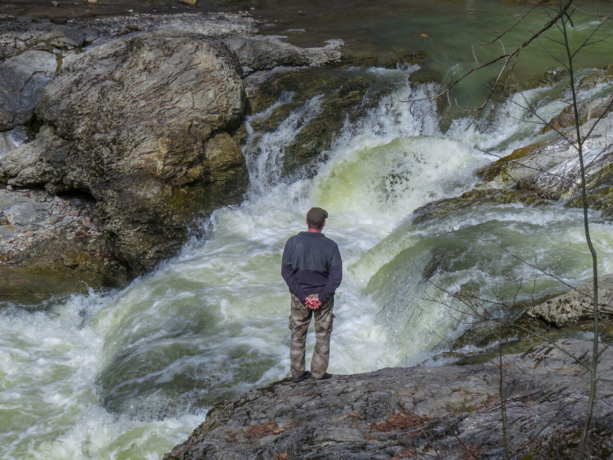 Здесь и далее в статье фото автора. 4 апреля 2021 года. 