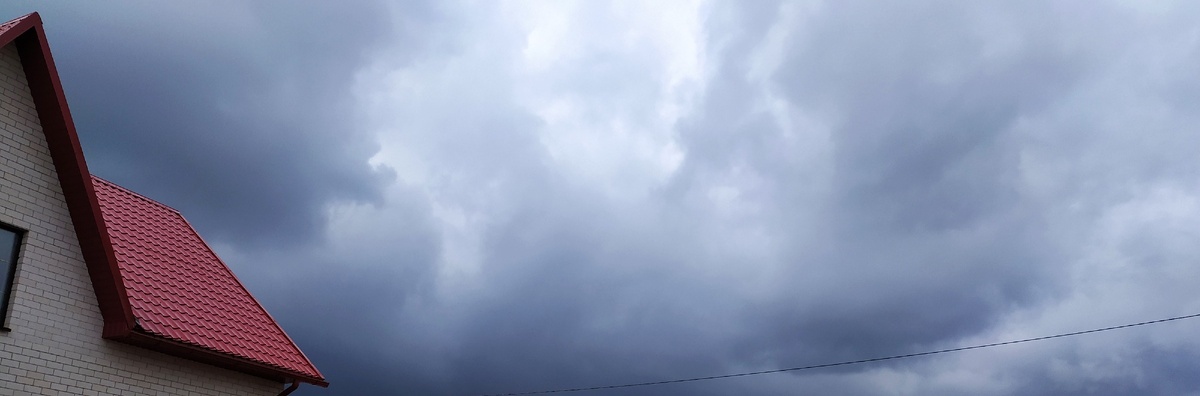 Личное фото автора