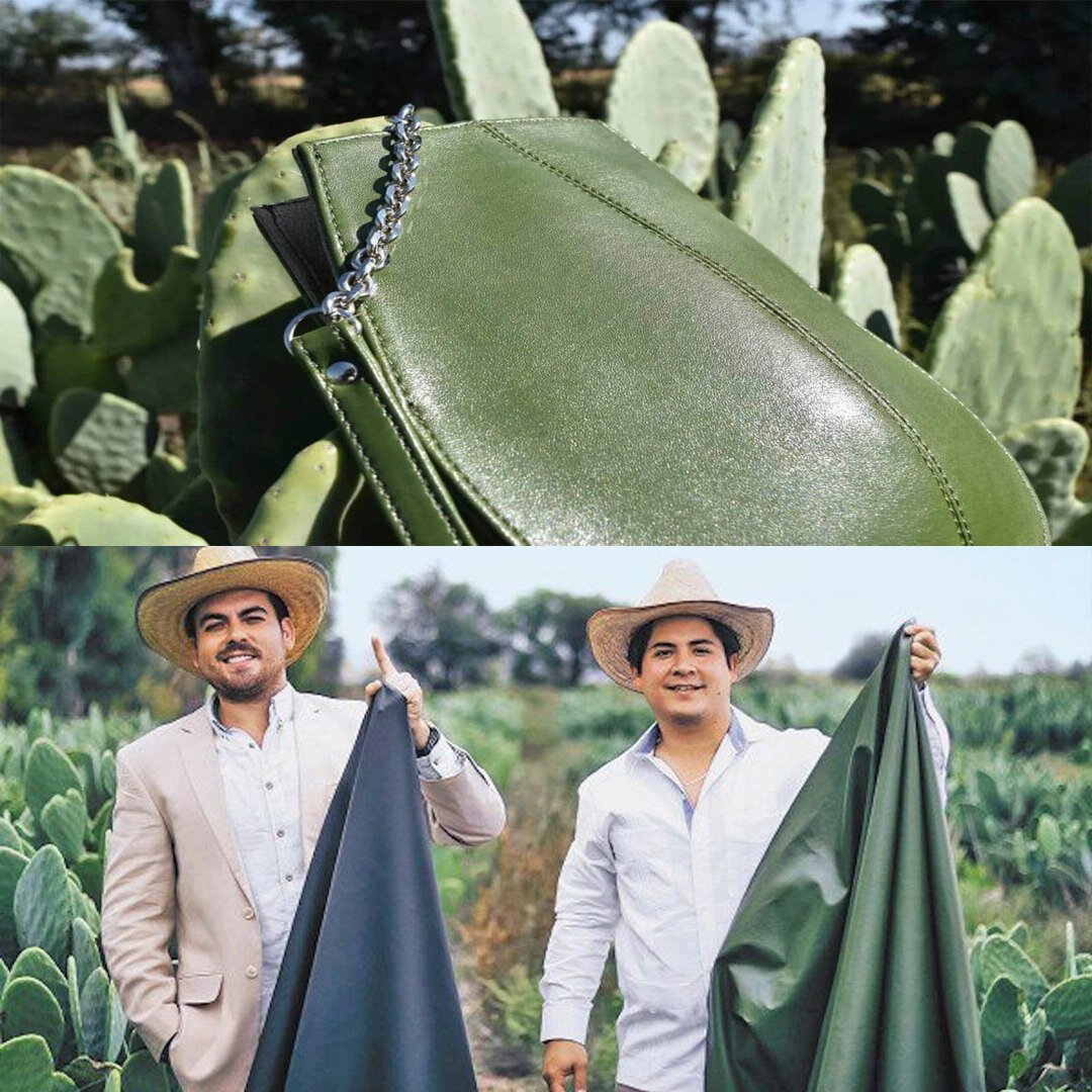  Данный сорт кактуса  (Мексиканская колючка 🌵) – идеальна для инновации. Растет быстро, воды для полива не требуется, токсичных химикатов для технологии тоже не нужно, энергии для изготовления – минимум. 