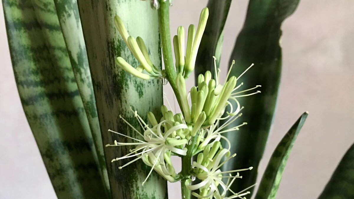 Фото с яндекс картнок.