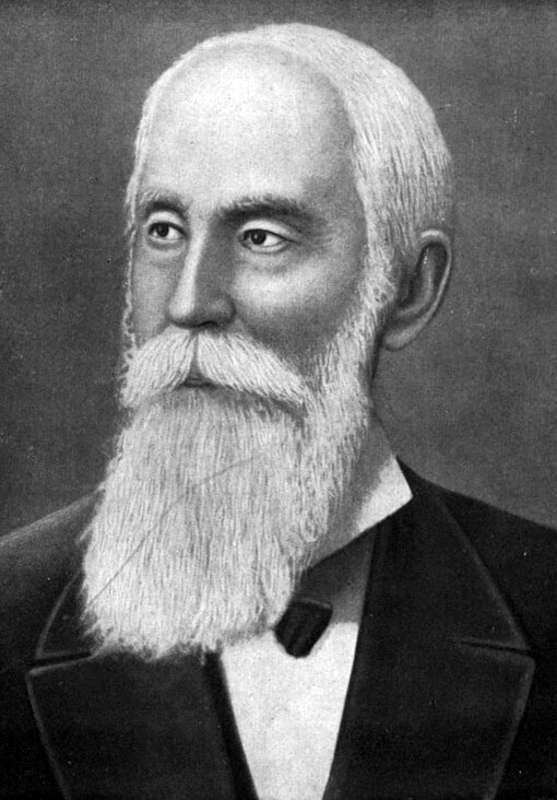 Чебышёв П.Л. фото взято с (http://cepulib.ru/images/thanks/chebishev/chebishev.jpg)