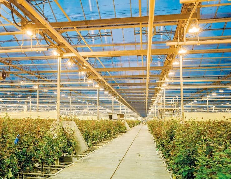 фото из архивов МСК "БЛ ГРУПП"