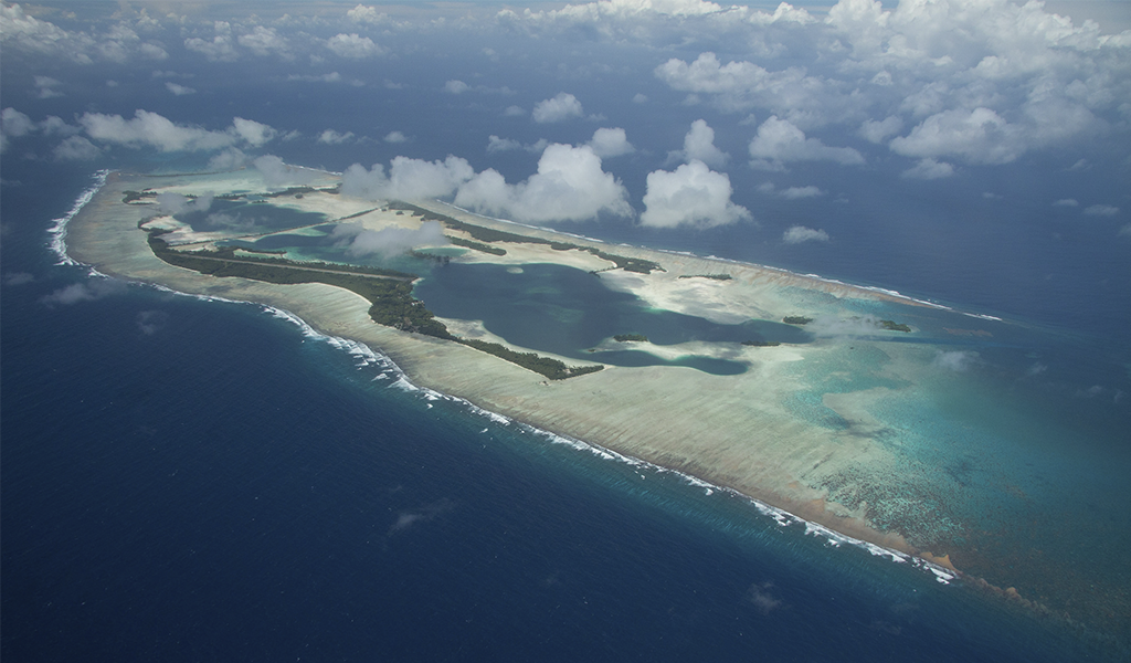 Атолл Пальмира, США. Источник фото — сайт: https://clck.ru/UGzKV