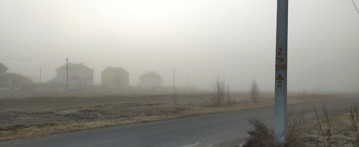 Личное фото автора.