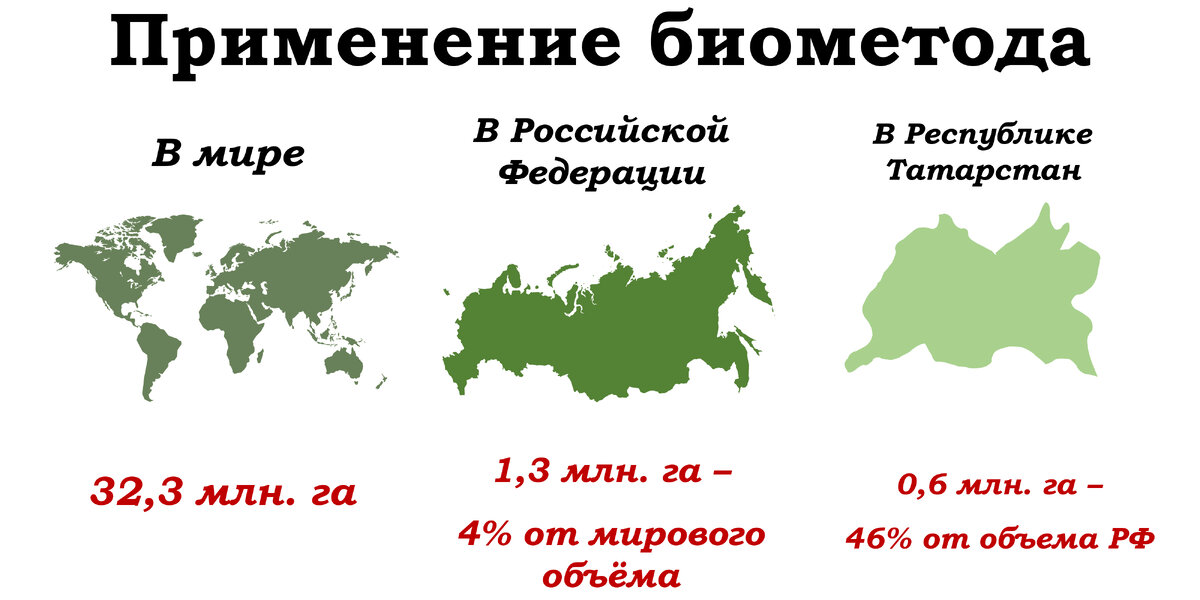 Фото: Занина Л.Н.