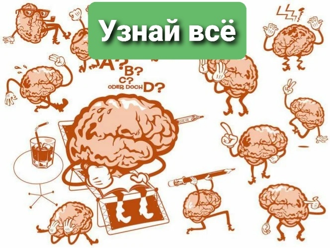 Подписуйтесь, обновления статей каждый день 