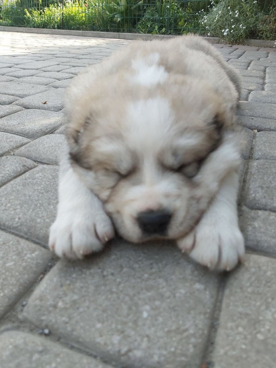 Дамиру 3 недели. Фото из личного архива