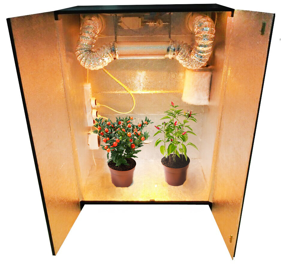 Источник: Яндекс.Картинки 