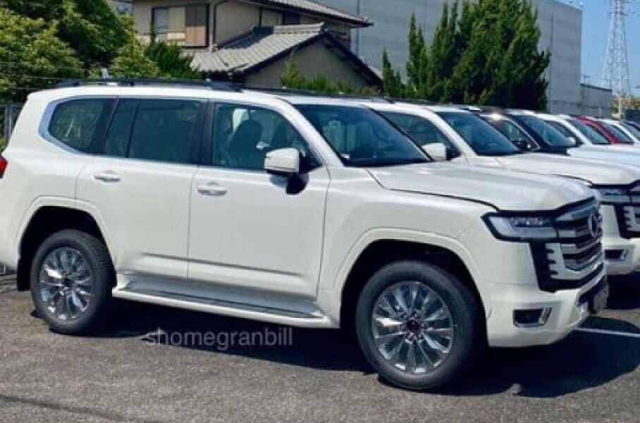 Фото:shomegranbill