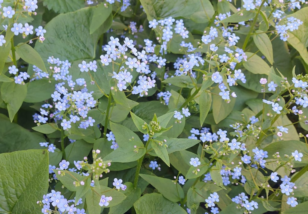 Фото — Надежда Гагарина