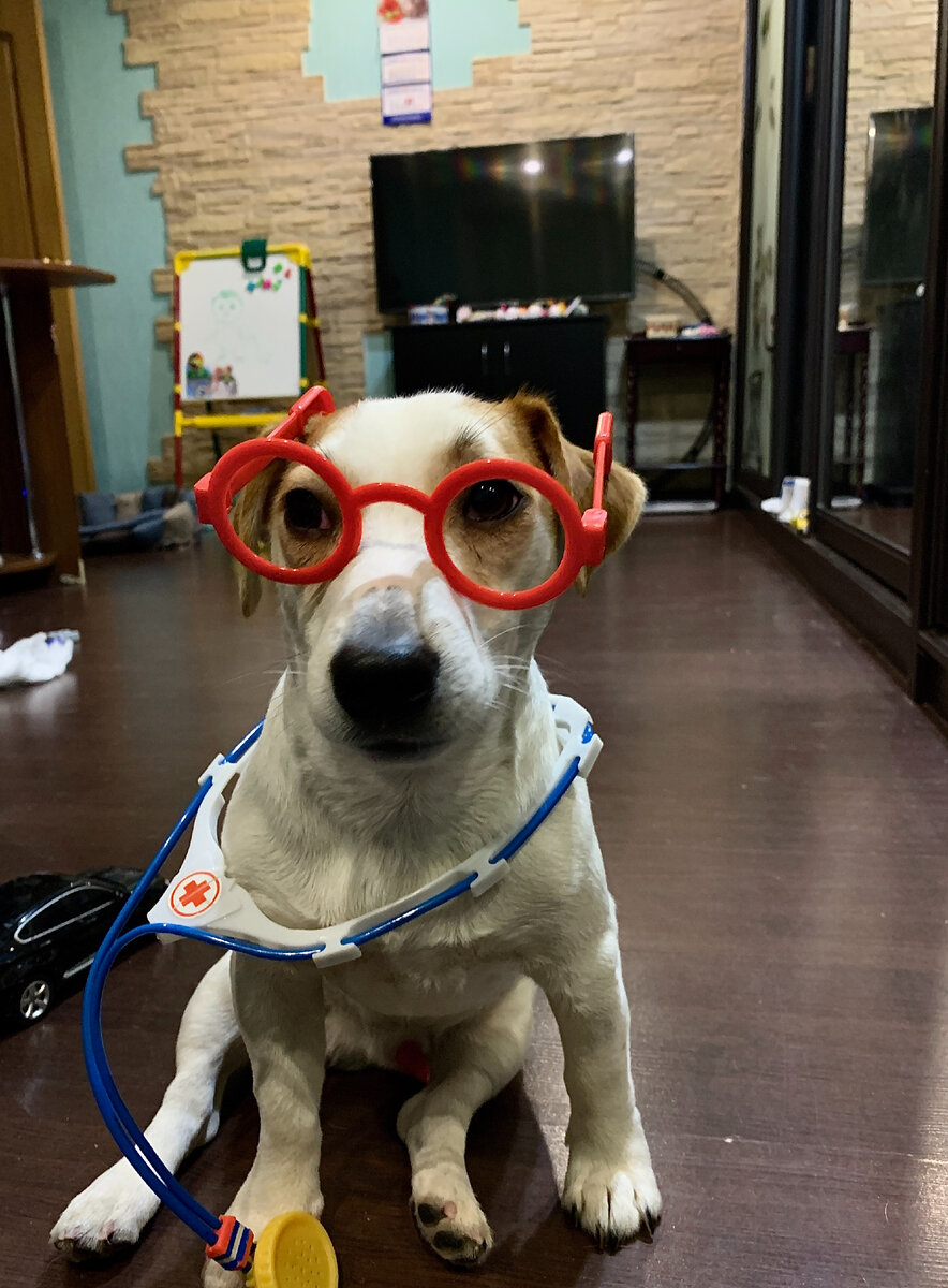 Доктор Джаспер на связи