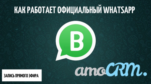 Работа WhatsApp Business API в amoCRM. Рассказываем о стоимости, работе - запись прямого эфира